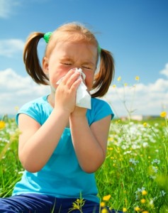 shutterstock_77193160 Hayfever girl resized