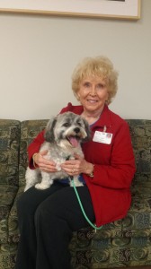Sophie the Therapy Dog sits in her owners lap