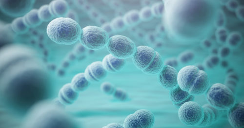 Should you get the pneumonia vaccination?