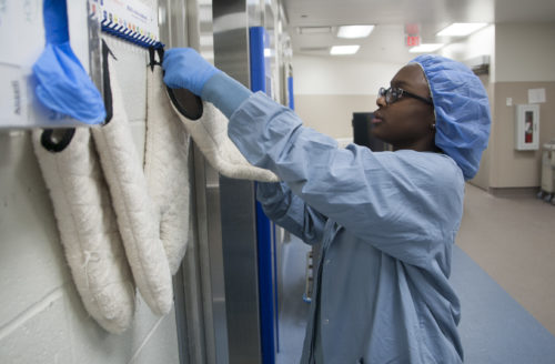High school interns learn about life in the lab