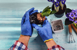woman gardening