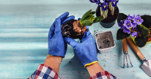 woman gardening