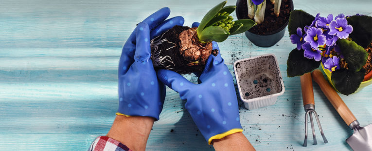 woman gardening