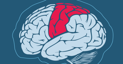 Having Comprehensive Stroke Center in your area matters