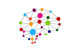 graphic model of a human brain