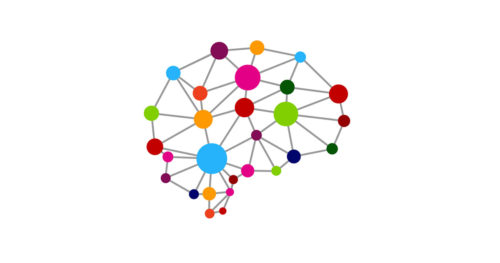 graphic model of a human brain