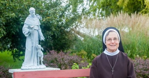 How to live in the example of St. Francis of Assisi