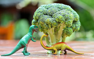 Toy dinosaurs pretending to eat broccoli 