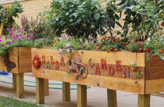 Tomatoes and vegetables in a garden at OSF Saint James John W. Albrecht Medical Center