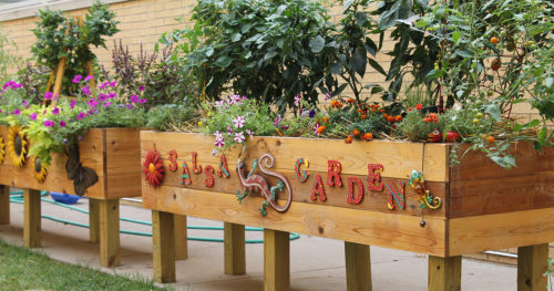 Tomatoes and vegetables in a garden at OSF Saint James John W. Albrecht Medical Center