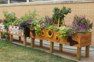Flowers in a garden at OSF Saint James John W. Albrecht Medical Center