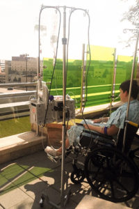 Kaleb resting in OSF Healthcare's rooftop garden