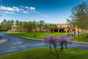OSF St. Francis Hospital serving rural health care needs