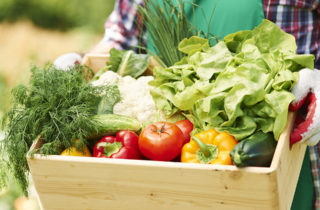 Bushel basket of garden vegetables