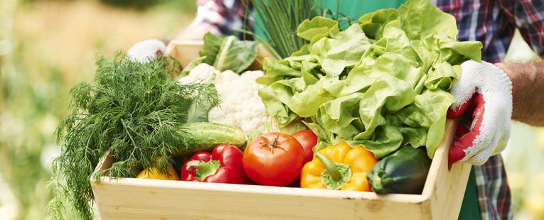 Bushel basket of garden vegetables