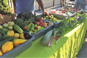fresh vegetables from the garden