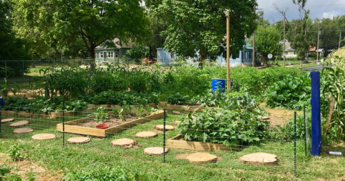 St. Ann's Garden of Hope in Peoria