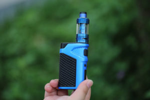 electronic nicotine vaporizer
