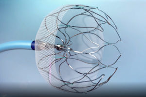 Watchman device