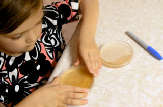 6-year-old child labels petri dish for germ experiment