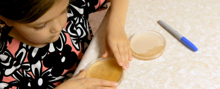 6-year-old child labels petri dish for germ experiment