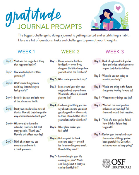 Gratitude Journal Infographic