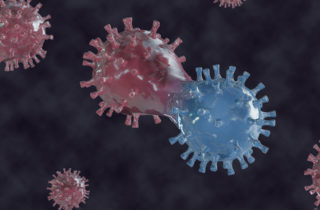 coronoavirus mutating into another version