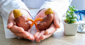Protection, treatment, prevention and patronage health in nephrology in kidneys health against diseases, pathologies concept photo.
