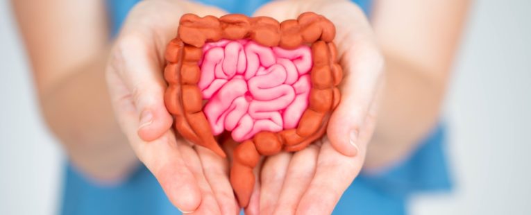 Learn how to improve your gut health to live a healthier lifestyle.