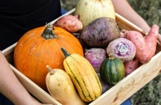 savor the season, fall into fresh produce, person holding box of fall produce, including pumpkins, squash, yams, etc