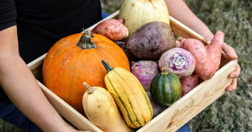 savor the season, fall into fresh produce, person holding box of fall produce, including pumpkins, squash, yams, etc