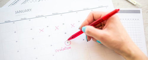 stages of the menstrual cycle, period, period tracker, ovulation, how long do periods last